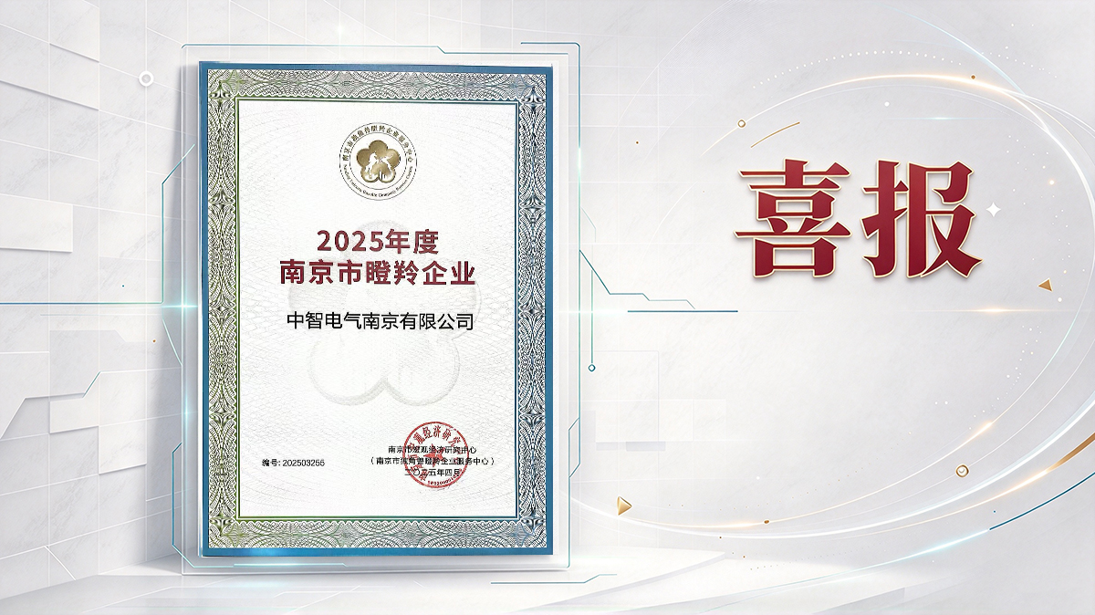 2025年度南京市瞪羚企业